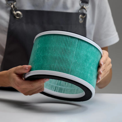 Фильтр HEPA H12 для вытяжки Maestro